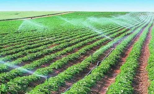看免费看大操逼毛片农田高 效节水灌溉